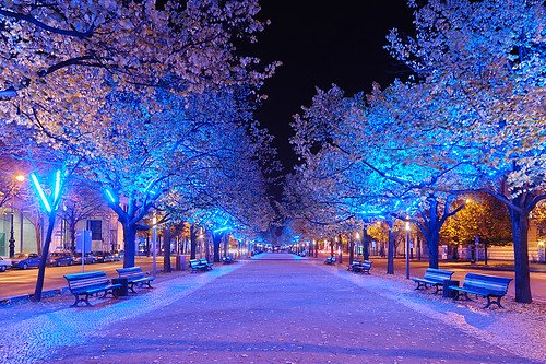 Unter den Linden