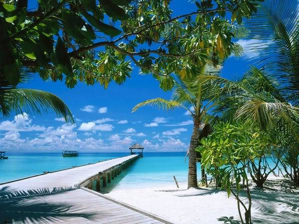 Мир природы (World of Nature) Maldivespictures1