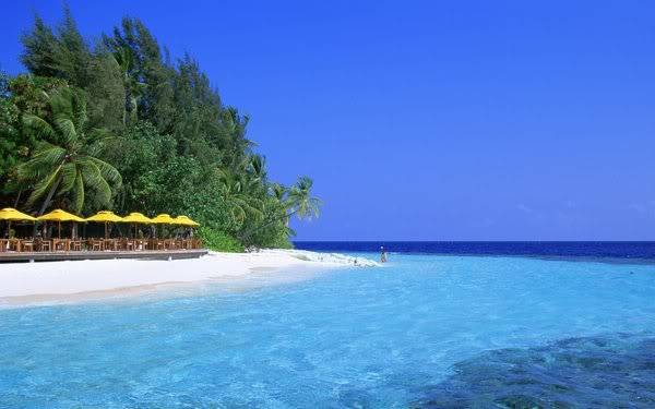 Мир природы (World of Nature) Maldivespictures2